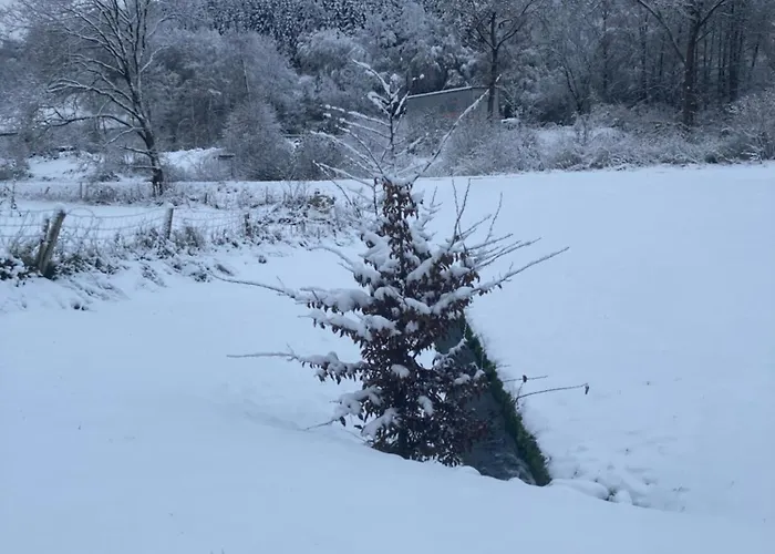 Nest Heiminghausen Appartement *