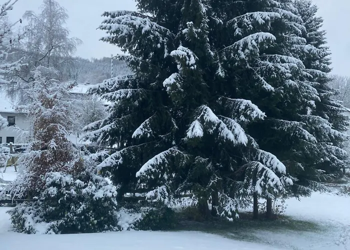 Appartement Nest Heiminghausen